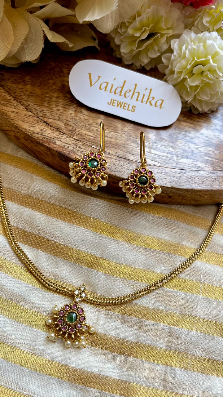 Pathakka VCN020 - Main Image