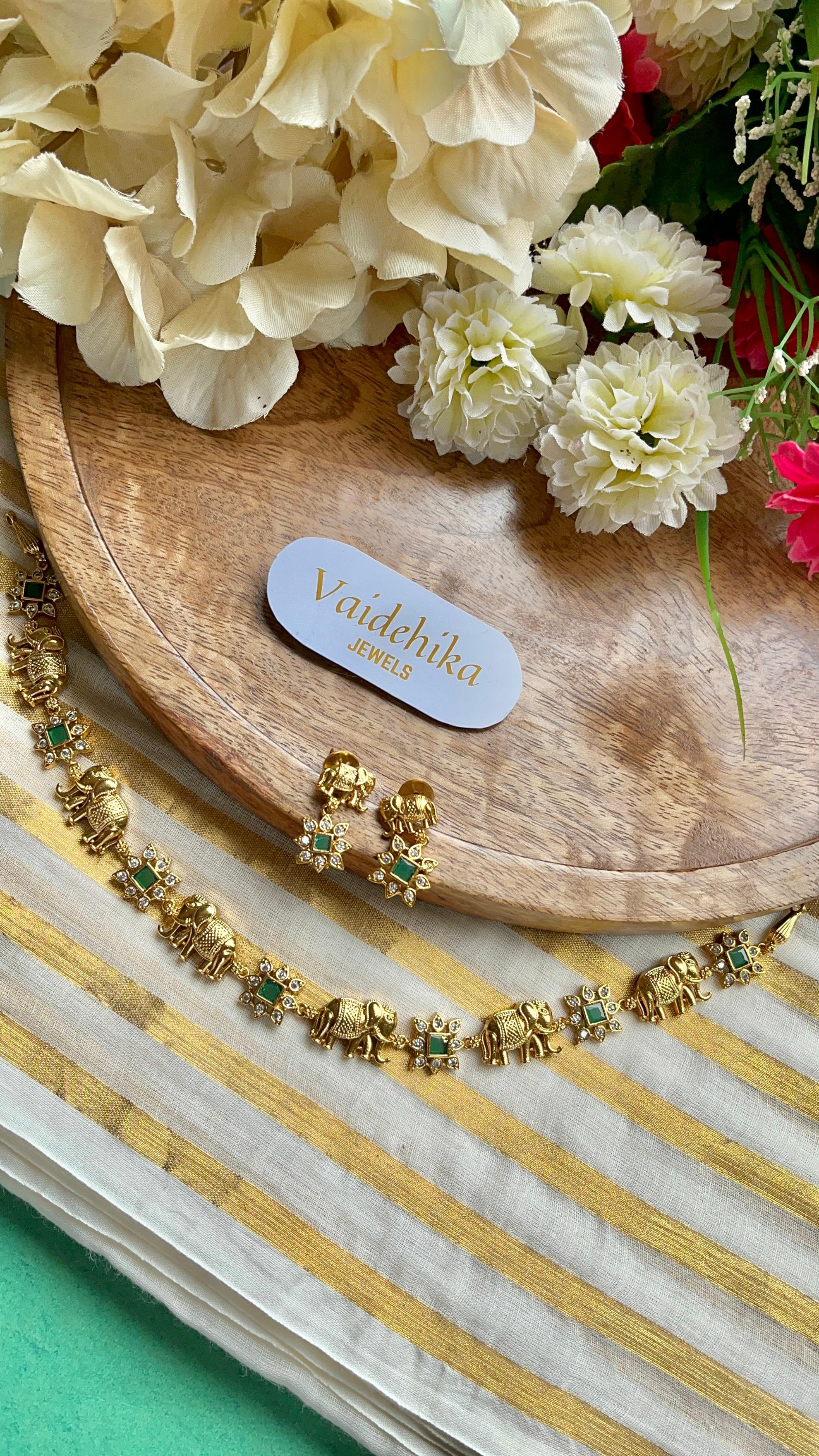 Pushpa Hathi-VJAD002