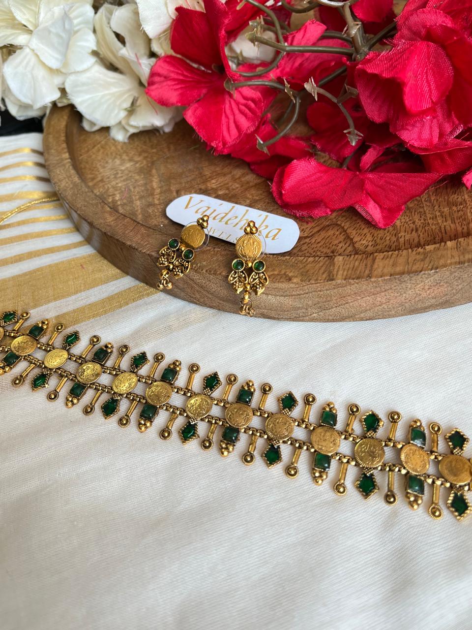 Vaibha Choker-VJVC01