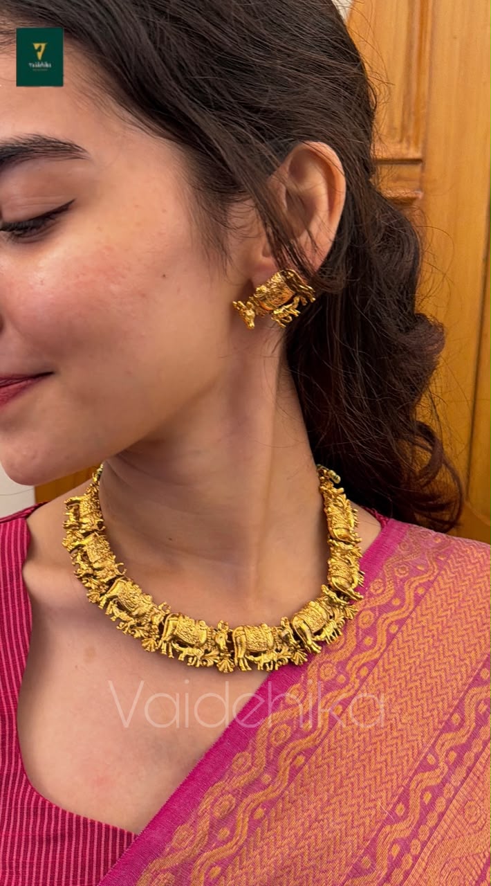 Surabhi Necklase -VJL42