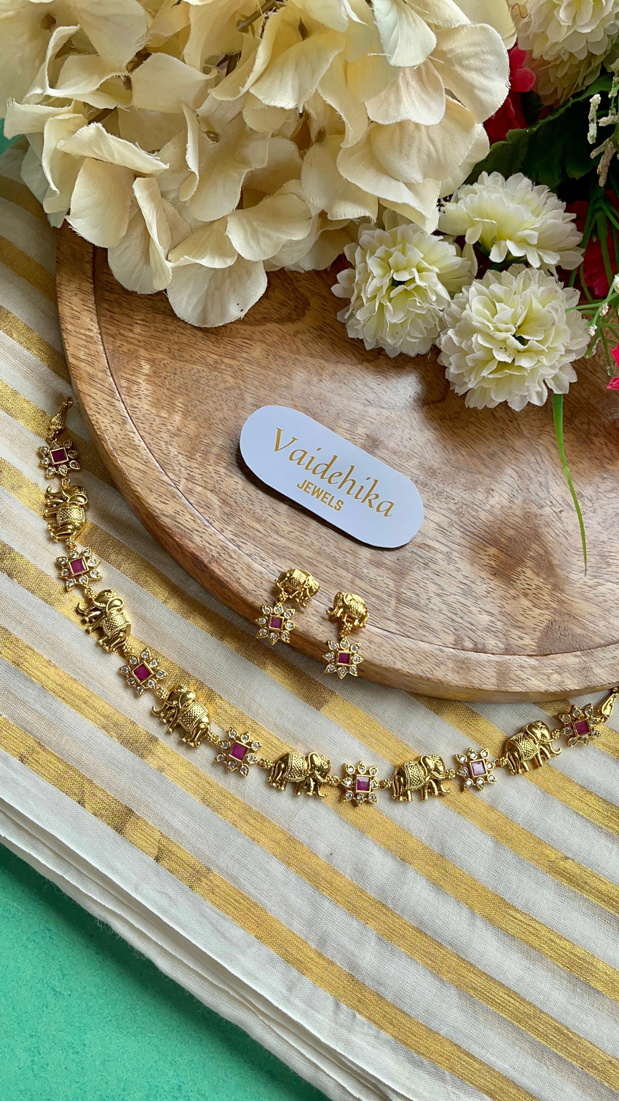 Pushpa Hathi-VJAD002