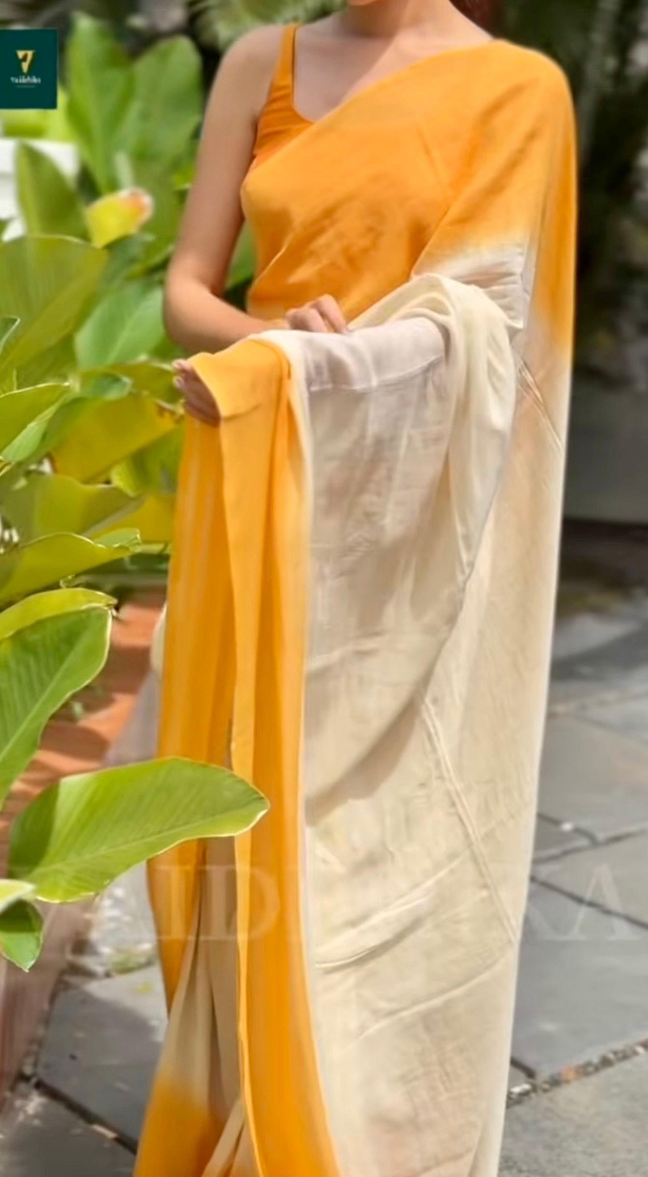 Tessa Saree-PMCDSYW1