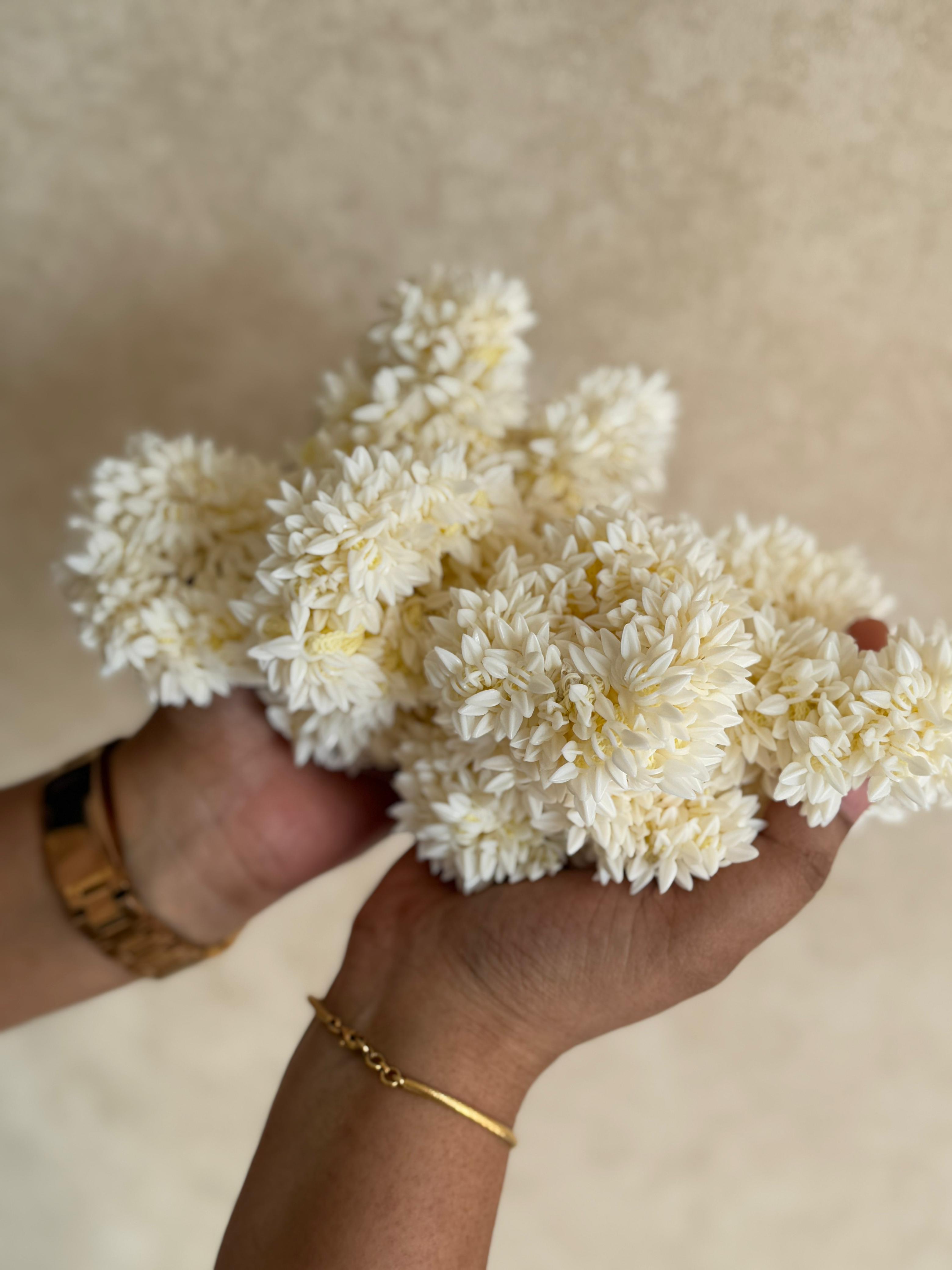 Mulla Scrunchy-VCMS001